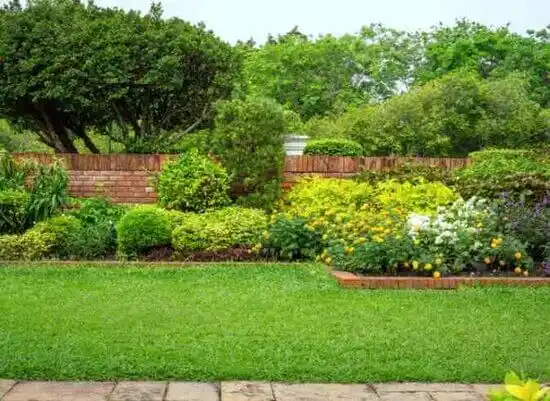 landscaping services Robersonville